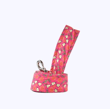 accesorios-perros-correa-tradicional-razamanza