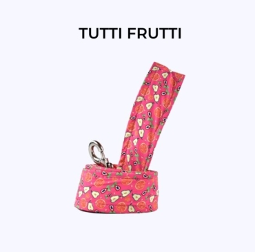 accesorios-perros-correa-tradicional-a-razamanza