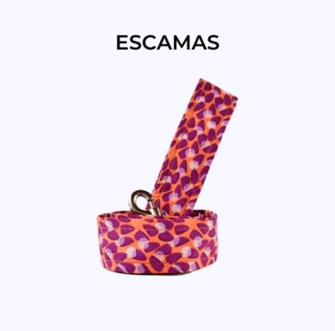 correa trailla perro_gato (2)