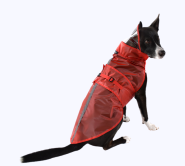 impermeable perro (1)
