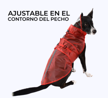 impermeable perro (2)